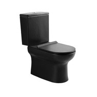Bareno Rimless Washdown Matte Black WC toilet bowl