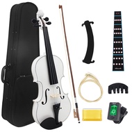 Violin Set White Violin Adult Beginner Violin Practice Violin 4/4 Basswood Violin