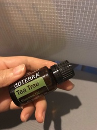 Tea tree essential oil น้ำมันหอมระเหย ดับกลิ่นตัว ดับกลิ่นห้อง อโรมาเธียราพี aromatherapy oil น้ำมั