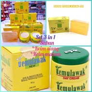 Ready Stock💯 Orignal Temulawak Day &amp; Night cream set with soap