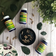 Cm3150益生菌 排毒产品 排脂肪 法国产品