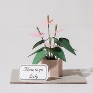 【火鶴花】 紙模型 紙植栽 材料包 紙風景 S| 9028406