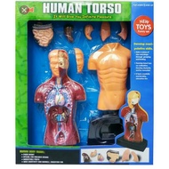 Science Kit Bodybuilding