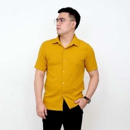 POLO BUTTON DOWN (Special TEXTURED Fabric) | ESHOP