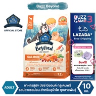 Buzz Beyond - อาหารสุนัข บัซซ์ บียอนด์ กลูเตนฟรี รสปลาแซลมอน สำหรับสุนัขโต ทุกสายพันธุ์ 10 kg