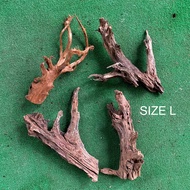 (S/M/L) 𝟮𝟬𝗰𝗺 → 𝟯𝟴𝗰𝗺 Driftwood for aquarium/aquascape/paludarium/airplant/plant /terrarium (Kayu utk akuarium / pokok)