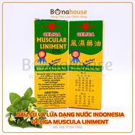 [PERIENCE] INDONESIA WATER FORM - GELIGA MUSCULA LINIMENT (New)