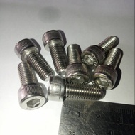 Bolt L M8 X 20 (2cm) stainless 304 THE A2-70 M8 Bolt