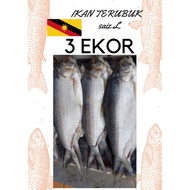 IKAN TERUBUK MASIN SARAWAK