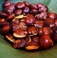 jengkol tua 1 kg mentah super freh great A /jengkol sepi/jengkol segar great A kemasan 500-1000gram