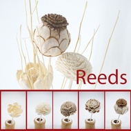 [Special Deal] ★Flower Reed Stick for Diffuser★ SG Local fast delivery/ Reed Sticks-For Use In Aroma