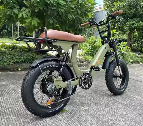 2024 New Design Step Through Frame Fatbike Electric 20Ah Lithium E Bicycle Battery Rust Resistant Ch