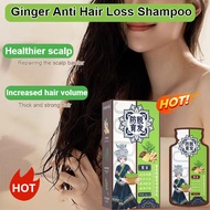 Ginger Phytogenic Shampoo Hair Loss Control Shampoo Shampoo Balm Shampoo