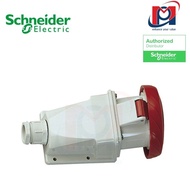 Wall socket IP67 2P+E, 230V - Schneider - PKF16W723
