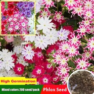 200 Seeds High Quality Colorful Phlox Seeds for Planting Benih Pokok Bunga Gardening Flower Seeds Flowers Plant Seeds
