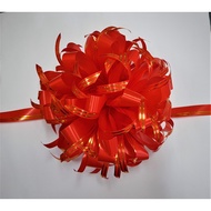 Red Ribbon Ball Opening Ceremony