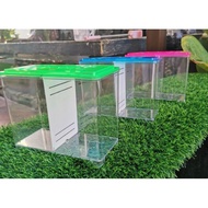 Betta Plastik Tank L18cm X W9cm X H12.5cm With Divider