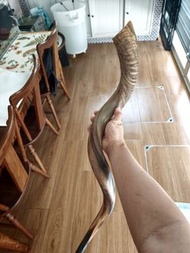 Shofar horn