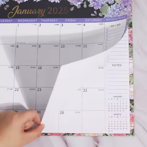 2025 Monthlys Wall Calendar Large Hangable Monthlys Wall Calendar Present For Friend Family