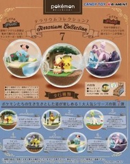 [全6款 全新有盒日版 可散買］日本正版 精靈球 玻璃球 pokemon terrarium collection 7 比卡超 波波 超夢 rement 盒蛋