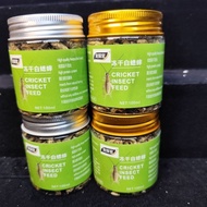 Climbing Pet Freeze-Dried Snacks Gecko Lizard Bird Arowana White Cricket Feed Frozen White Cricket u