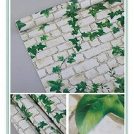 Wallpaper STICKER Wall-BATA Leaf Vines
