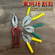 New Model Professional Fruit Tree Ring Pruner Scissors Bark Stripper Tree Peeling Knife Branch Prune