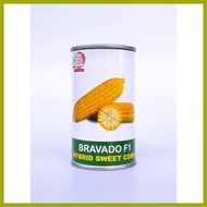 ┐ ▘ ◐ Condor Bravado F1 Hybrid Sweet Corn Seeds