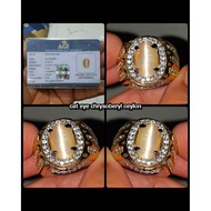 CAT EYE SRILANKA CEYLON ORIGINAL CHRYSIBIL YA