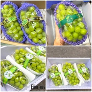 องุ่นไซมัสคัส (ยกลัง2-3ช่อ/2KG) Shine Muscat Grape (KOR/CHN) 샤인 무스카트 ~ลดพิเศษ~ องุ่นเขียว องุ่นไชน์ม