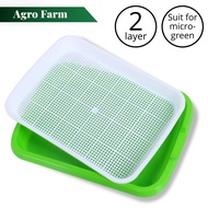 Bean Sprout Tray / Sprout Plate / Seedling Tray / Nursery Tray / Planter / Microgreen Tray