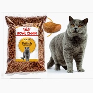 Adult cat British Short Hair BSH royal canin repack1kg ready stock