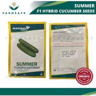 SUMMER F1 HYBRID CUCUMBER SEEDS [10g] | Biji Benih Timun | High Yield | ~320 seeds