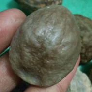 muncang adu/kemiri adu  JaWa ORI mainan anak