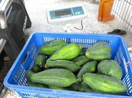 青木瓜1公斤20元，熟木瓜一台斤35元，木瓜葉100公克25元，木瓜莖100公克25元，木瓜苗每盆10元