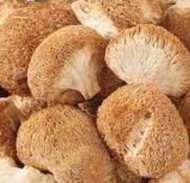 猴头菇 HERICIUM MUSHROOM 100g - 250g