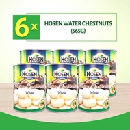 [Bundle of 6] Hosen Water Chestnuts 565g