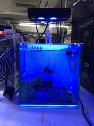 迷你桌面背濾魚缸