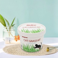 ❤️Bioline❤️ Cat Grass Soilless Pet Wheat Grass Self Grow Plant Kit / Rumput Kucing 宠物猫零食 宠物猫草种子