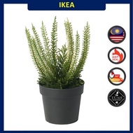 IKEA FEJKA Artificial Potted Plant With Pot ( Heather,9 cm )