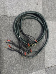早期audioquest GRANITE喇叭線 2出4 叉出叉 美國製造 每條3M 正常可試