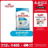 Royal Canin X-Small Puppy โรยัล คานิน อาหารเม็ดลูกสุนัข พันธุ์จิ๋ว อายุ 2-10 เดือน (กดเลือกขนาดได้, Dry Dog Food)