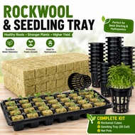 Home Hydroponic Rockwool Hidroponik Set | Balcony Vegetable & Herb Growing