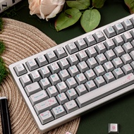 Metallic paint Keycaps Japanese Root Cherry Profile Silver metall feel keycap set for Mechanical Key