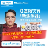 Pink Entry-Level Midi Keyboard MEOW plus Birthday Gift Childrens Electronic Piano Toy Cat Claw Desig