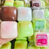 Slow Rising Squishy - Mochis