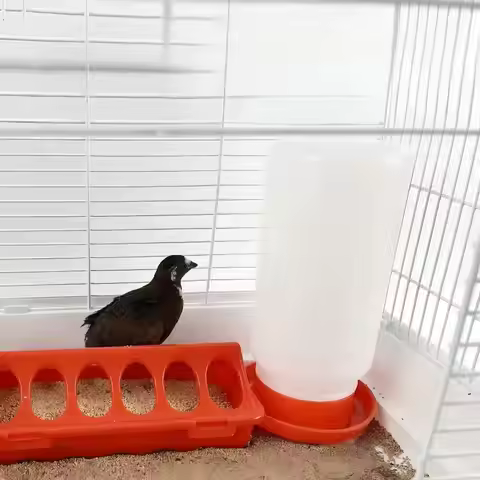 Chicken Feeder Automatic Water Feeder For Chicks Quails Chicks Feed Box Automatic Feeder Small Autom