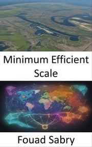 Minimum Efficient Scale Fouad Sabry