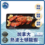 (熟) 加拿大波士頓龍蝦(300g up)(急凍-18°C)