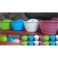 19cm Colorful WASP Motif Wall Flower Pot